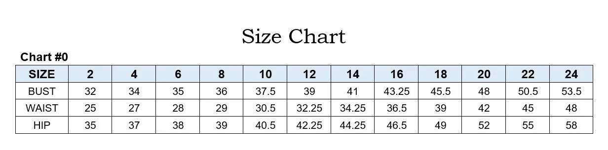 Ladivine 9312 Long Sheer Glitter Feather Maxi Slit Prom Dress Formal Evening Gown