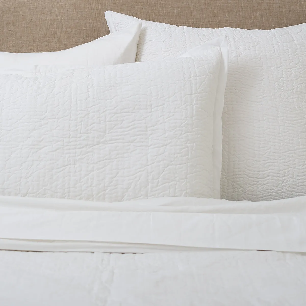 Sloane White Standard Sham